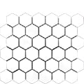 12"x12" (2"x2") Hexagon Mosaic