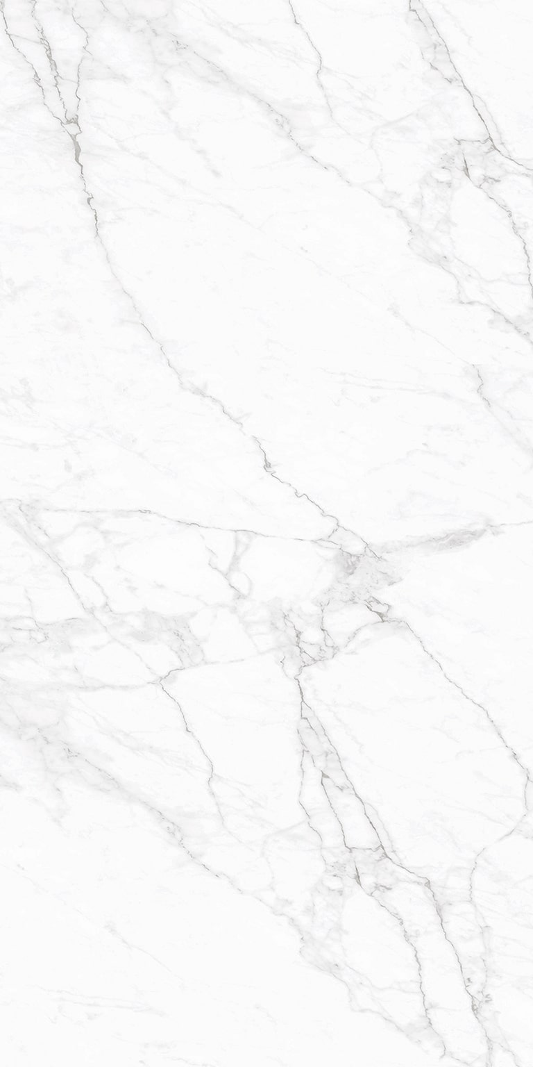 PE.SAVY.STBN.235.1001PULIB40.1