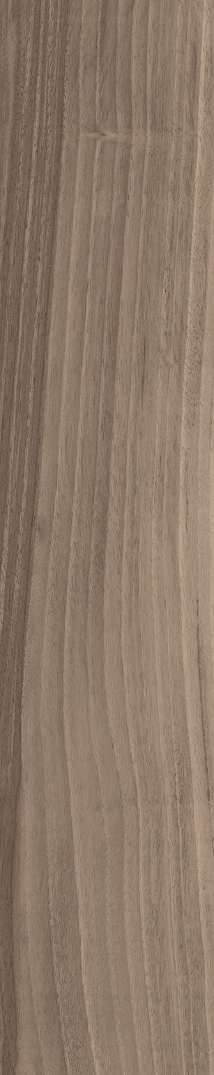 WILDWOOD_Acorn-Beige_20x100_FULL